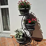Apartamento La Dolce Corte Brenta
