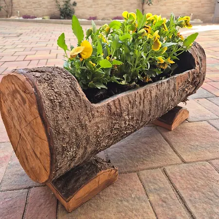 La Dolce Corte Lejlighed *